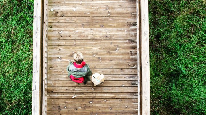The Complete Guide to Traveling With Your Pet