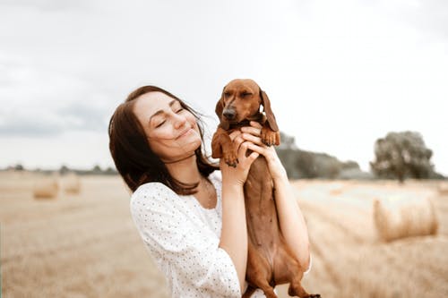 A Pawsome Discussion: Pet Preparation Instructions for Surgery