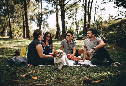 The Importance of Routine Vaccinations for Your Pet’s Longevity and Well-Being