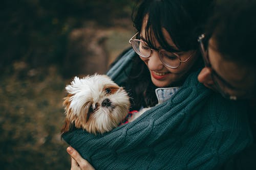 Why Every Pet Owner Should Consider Cold Laser Therapy for Their Furry Friends