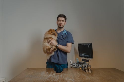 Why Are Laboratory Diagnostics Essential in Veterinary Medicine?