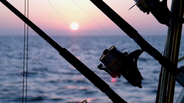 What Should I Expect on my First Offshore Fishing Trip?