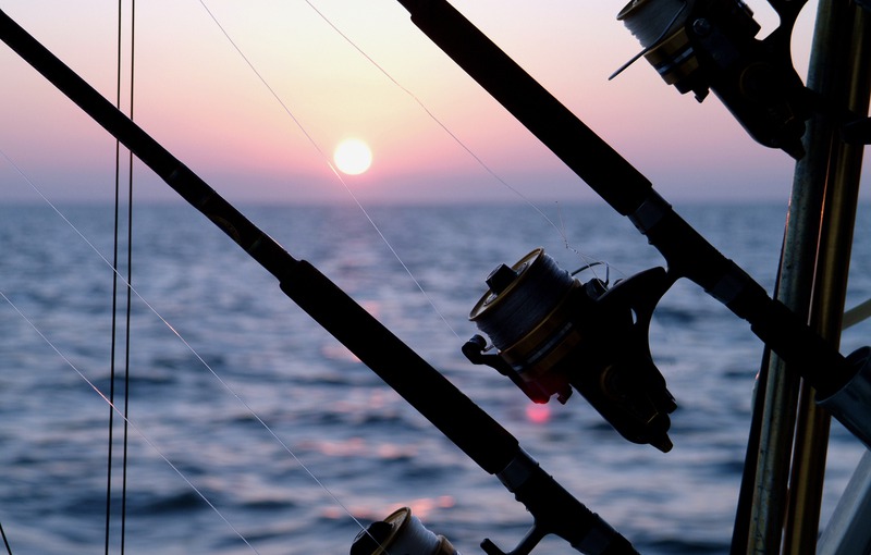 What Should I Expect on my First Offshore Fishing Trip? What Should I Expect on my First Offshore Fishing Trip?