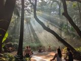 How Do You Prepare for a Resort Wellness Retreat?